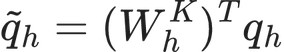 \tilde q_h=(W_h^K)^Tq_h