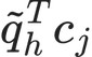 \tilde q_h^Tc_j