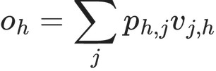 o_h = \sum_jp_{h,j}v_{j,h}