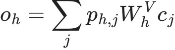 o_h = \sum_jp_{h,j}W_h^Vc_j
